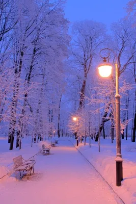 Фото зимы на телефон фотографии