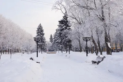Фото зимы в городе