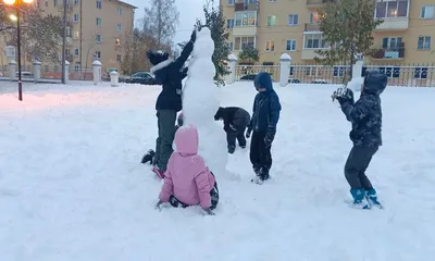 Сегодня ночью наступит настоящая зима — выпадет до 8 см снега - Москвич Mag