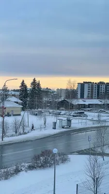 Стало известно, какой будет зима в этом году