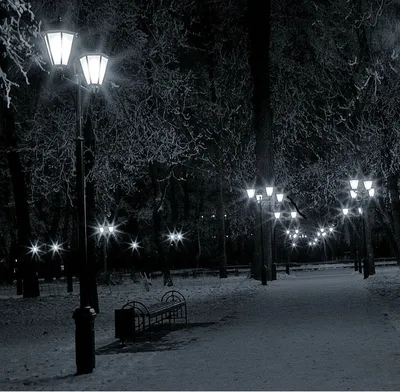 Фон зимы ночью (35 фото) - 35 фото