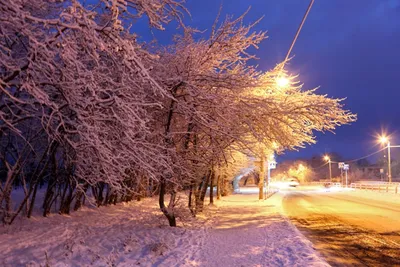 Фото зимы в городе фотографии