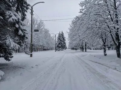 Дыхание зимы: в российских регионах выпал снег :: Новости :: ТВ Центр