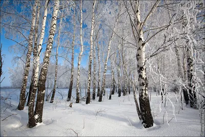 Красивый зимний пейзаж, солнечно, …» — создано в Шедевруме