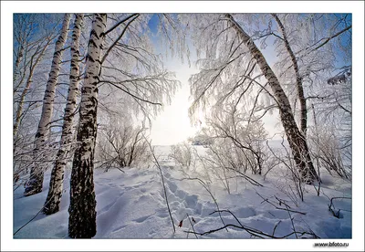 ₴ Купить картину пейзаж известного художника: Зимний пейзаж — художник  Айвазовский Иван
