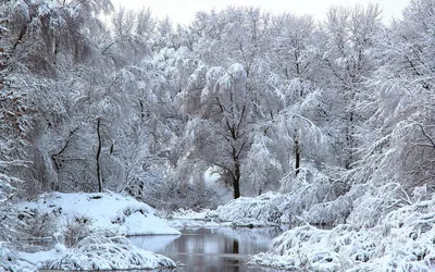 Классический зимний пейзаж со снегом и рекой