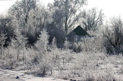 Фотоотчет «Прелесть зимушки-зимы в рисунках детей» (17 фото). Воспитателям  детских садов, школьным учителям и педагогам - Маам.ру