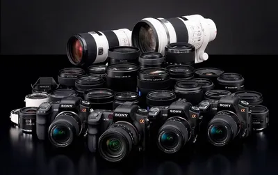 📷 Как выбрать фотоаппарат для начинающего фотографа | Primeсlass Journal