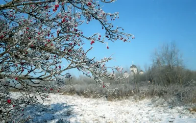 Смена 8М. Примеры фотографий — Домашняя страница. М. Астапчик