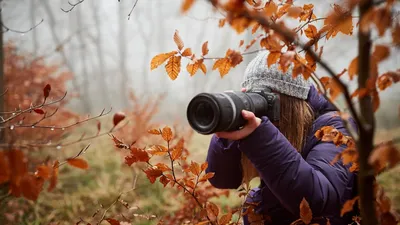 Известные фотографы и их фотоаппараты | Пикабу