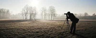 Чем занимается и как зарабатывает фотограф-анималист