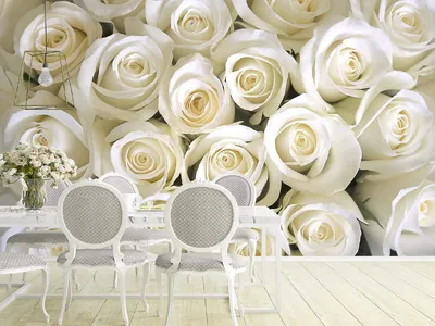 Фотообои белые розы в интерьере фото фотографии