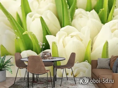 3D Фотообои «Белые тюльпаны» - купить в Москве, цена в Интернет-магазине  Обои 3D