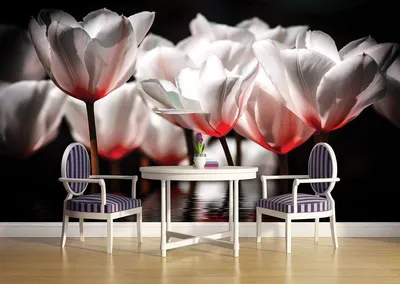 Зал с фотообоями цветы 254x184 см Белые тюльпаны на воде (1102P4)+клей  (ID#948247525), цена: 850 ₴, купить на Prom.ua