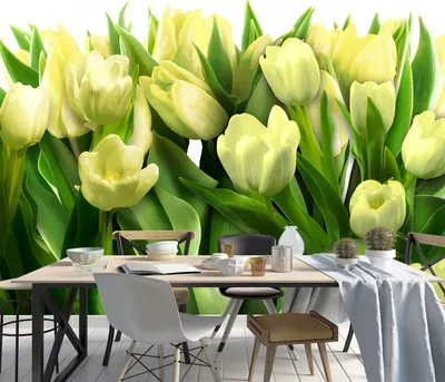 Размер 368x254: Фотообои De-Art Белые тюльпаны V3-160