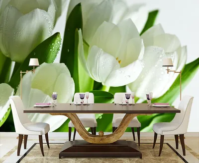 Фотообои на стену Белые тюльпаны в росе - Белые цветы