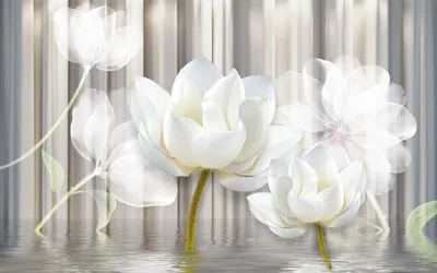 Фотообои Воздушные белые тюльпаны | Купить в Москве, низкие цены,  интернет-магазин Artpolygraf