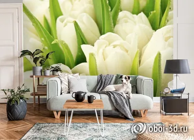 Фотообои Белые тюльпаны и кольца №PL32359 - цена, фото, отзывы | АВС-Decor