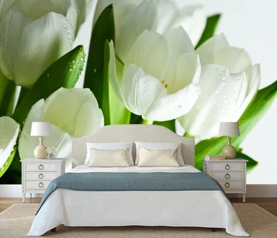 Фотообои белые тюльпаны», (арт. 21483) - купить в интернет-магазине  Chameleon