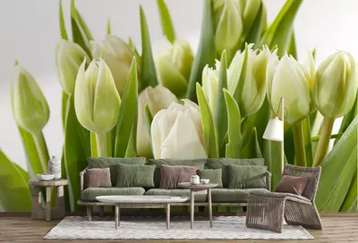 3D Фотообои «Белые тюльпаны» купить, отзывы, фото, доставка - Совместные  покупки в Якутске