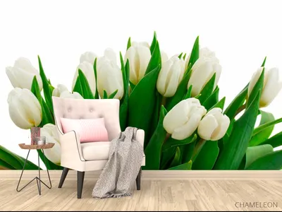 Фотообои Белые тюльпаны», (арт. 12873) - купить в интернет-магазине  Chameleon