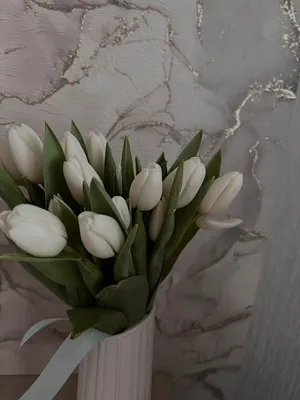 Фотообои Vostorg А 001 Белые тюльпаны 294x260 см по цене 1395 ₽/шт. купить  в Ижевске в интернет-магазине Леруа Мерлен