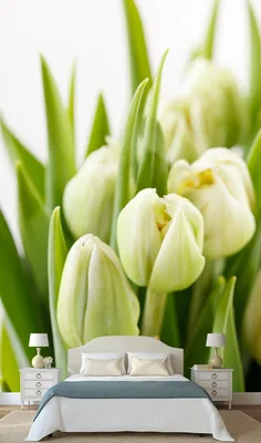 Фотообои на стену Белые тюльпаны - Белые цветы