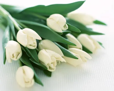 Фото Шторы для зала \"Белые тюльпаны с розами и бабочками\"