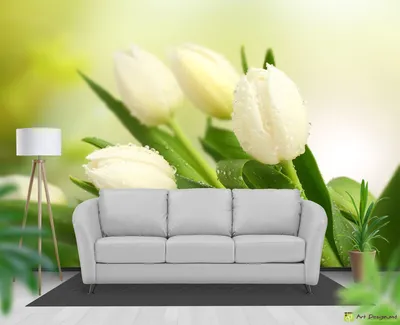 Foto aboie in Chisinau Flori Белые Тюльпаны |Арт-Дизайн Продажа фотообоев с  изображением цветов и растений в Кишиневе