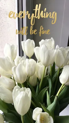 Фотообои Белые тюльпаны на лиловом фоне купить на стену • Эко Обои