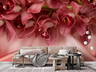 Фотообои Красные орхидеи на стену. Купить фотообои Красные орхидеи в  интернет-магазине WallArt