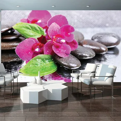 Флизелиновые фотообои в интерьере 3д СПА розовые орхидеи 254x184 см Цветы  на камнях под дождем (3473V4)+клей (ID#1754674959), цена: 1200 ₴, купить на  Prom.ua