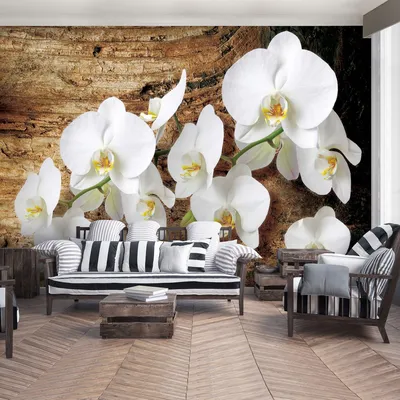 ᐉ Фотообои Consalnet 3Д Яркие белые орхидеи 254х184 см (1017P4)