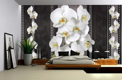 Флизелиновые фотообои в интерьере кухни гостиной цветы 416x254 см 3Д Белые  элегантные орхидеи (ID#948247537), цена: 2000 ₴, купить на Prom.ua