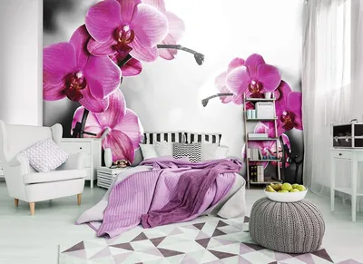 Орхидеи - фотообои на заказ. Закажи обои Орхидеи артикул: 60651