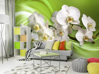 Фотообои Орхидеи на зелёном фоне на стену. Купить фотообои Орхидеи на  зелёном фоне в интернет-магазине WallArt