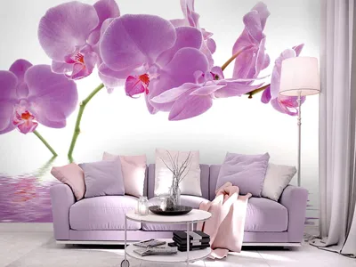 Фотообои Розовые орхидеи на стену. Купить фотообои Розовые орхидеи в  интернет-магазине WallArt