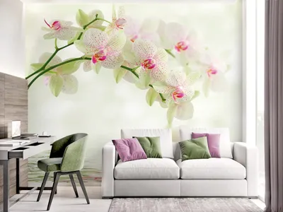 Фотообои Белые орхидеи на стену. Купить фотообои Белые орхидеи в  интернет-магазине WallArt
