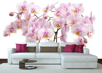 Фотообои Белые орхидеи и кольца на стену. Купить фотообои Белые орхидеи и  кольца в интернет-магазине WallArt