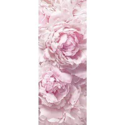 Фотообои пионы 368x254 см Большие цветы на старой стене Имитация винтажа  (14568P8)+клей (ID#1894469696), цена: 1200 ₴, купить на Prom.ua