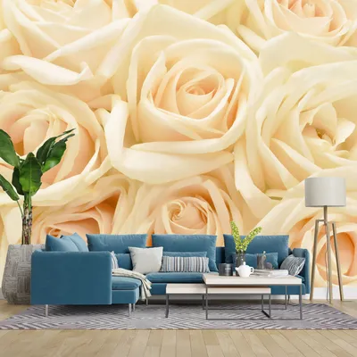 Фотообои на стену \"3D Кремовые розы\" флизелиновые 300х260 см. - купить по  выгодной цене в интернет-магазине OZON (731744285)