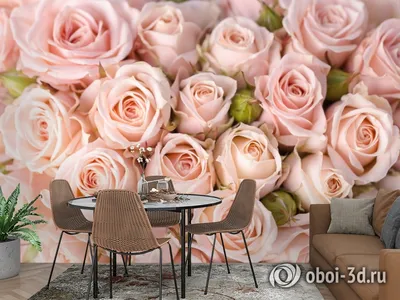 3D Фотообои «Кремовые розы» - купить в Москве, цена в Интернет-магазине Обои  3D