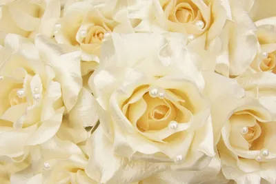 Фотообои на стену Розовые розы на белом шелке - Драгоценный шелк Розы