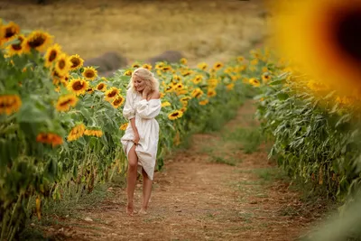 Фотосессия в поле с подсолнухами ))... - Фотограф Саранск | Facebook