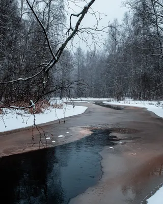 Зимняя фотосессия на природе в Москве | Заказать фотосъемку на природе зимой  - фотограф Анжелика Кузьмина