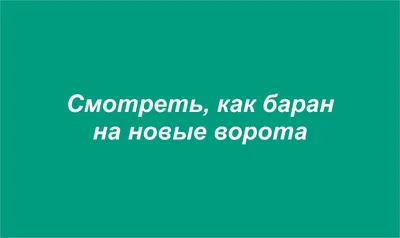 Фразеологизмы и их значения — как возникли фразеологизмы