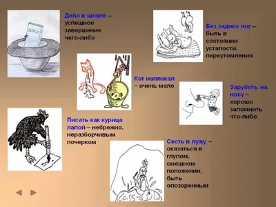 Популярные фразеологизмы в разных странах мира | Пикабу