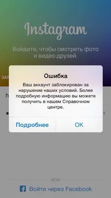 Дело в шапке: секреты оформления био в Instagram - блог академии Wezom