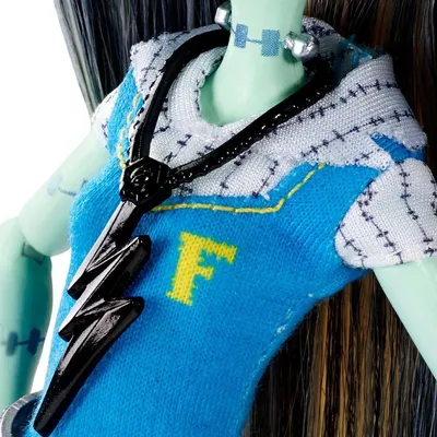 Кукла Монстр Хай Фрэнки Штейн - День рождения (Monster High Exclusive  Frankie Stein) купить в Украине 780.00грн. | Магазин Крудс