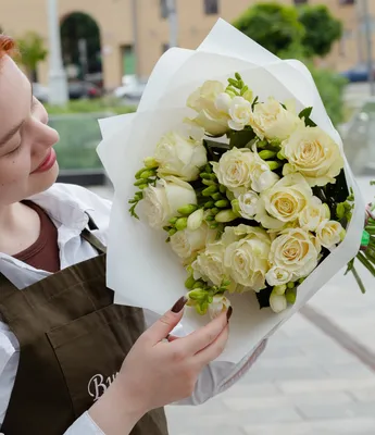 Флокс метельчатый Фрези – купить саженцы флоксов в питомнике в Москве